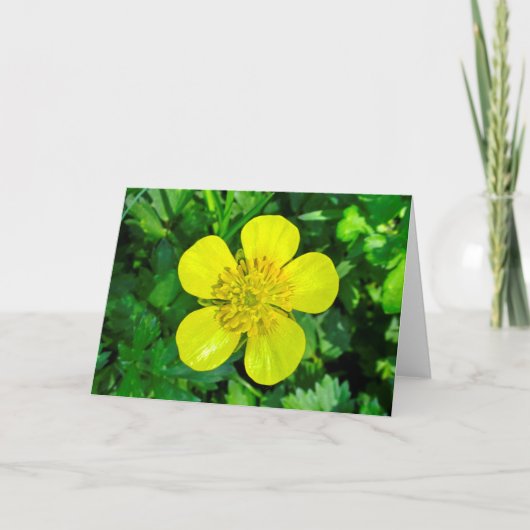 Buttercup ventilator. kaart (Voorkant)