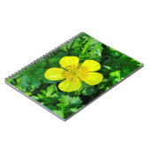 Buttercup ventilator. notitieboek (Linkerzijde)
