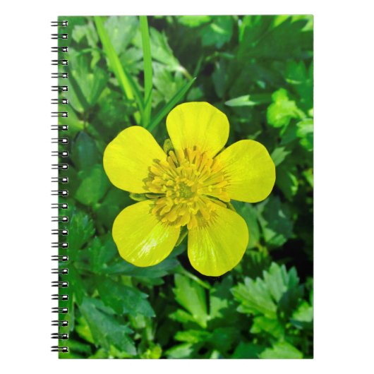 Buttercup ventilator. notitieboek (Voorkant)