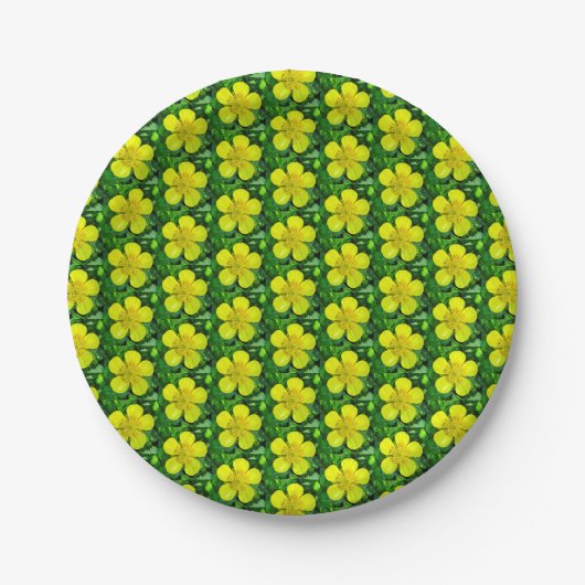 Buttercup ventilator. papieren bordje (Voorkant)