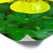 Buttercup ventilator. poster (Hoek)