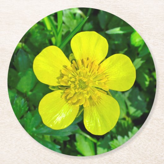 Buttercup ventilator. ronde kartonnen onderzetter (Voorkant)