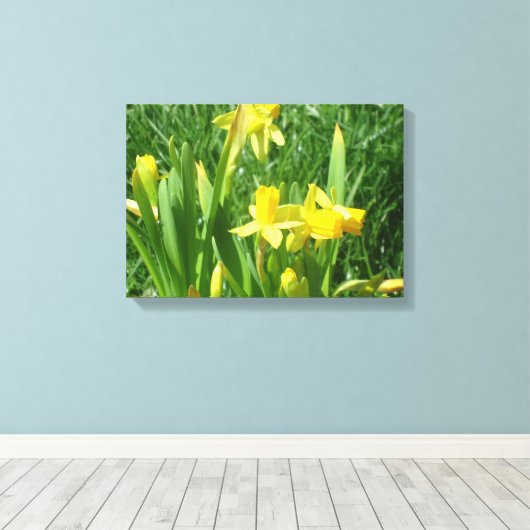 Buttercup Yellow Daffodils Canvas Afdruk (Insitu (Houten vloer))