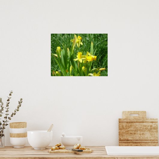 Buttercup Yellow Daffodils Poster (Keuken)