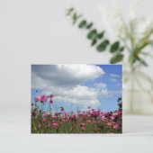 Buttercups Briefkaart (Staand voorkant)