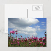 Buttercups Briefkaart (Voorkant / Achterkant)