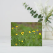 Buttercups Briefkaart (Staand voorkant)