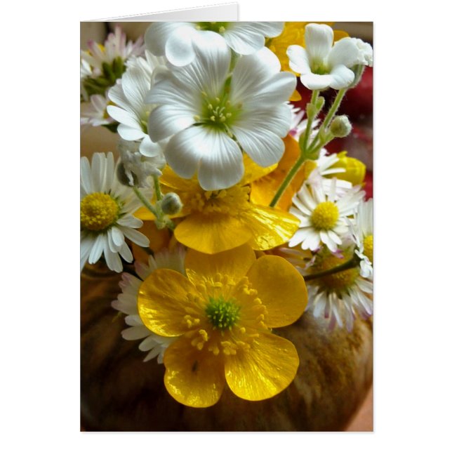 Buttercups en daisies (Voorkant)