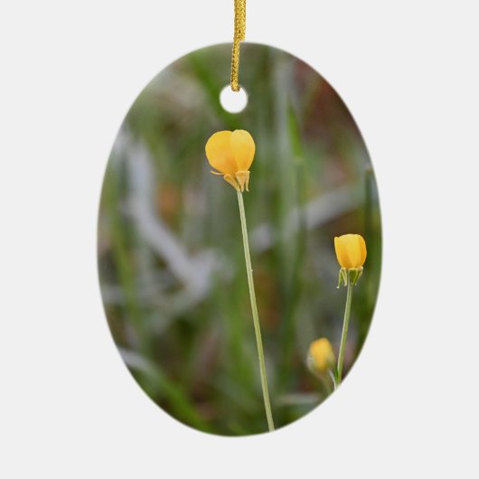 Buttercups Foto Ornament (Voorkant)