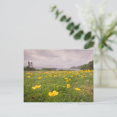 Buttercups in Schotland Briefkaart (Staand voorkant)