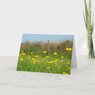 Buttercups Kaart