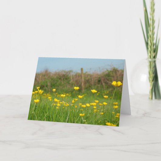 Buttercups Kaart (Voorkant)