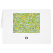 Buttercups op wit (Achterkant Horizontaal)