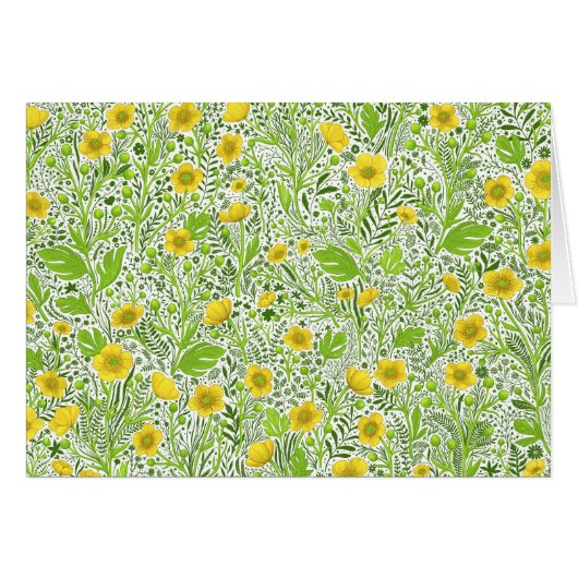 Buttercups op wit (Voorkant Horizontaal)