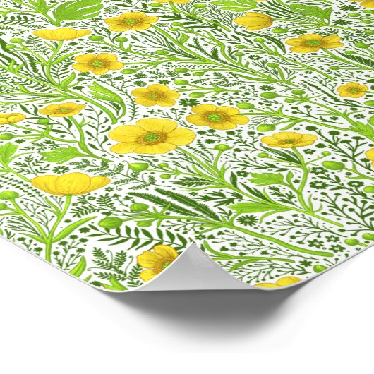 Buttercups op wit poster (Hoek)