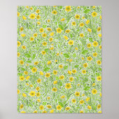 Buttercups op wit poster (Voorkant)