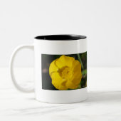 Buttercups Tweekleurige Koffiemok (Links)