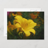 Buttered Popcorn Garden - Daylily Briefkaart (Voorkant / Achterkant)