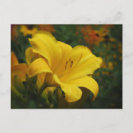 Buttered Popcorn Garden - Daylily Briefkaart
