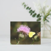 BUTTERFLES EN THISTTEEL BRIEFKAART (Staand voorkant)