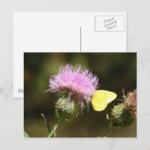 BUTTERFLES EN THISTTEEL BRIEFKAART (Voorkant / Achterkant)