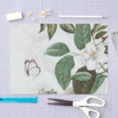 BUTTERFLES MAGNOLIA-weefselpapier Tissuepapier (Craft)