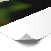 BUTTERFLES OP EEN DAGELIJKSE Poster (Hoek)