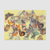 BUTTERFLES WEEFSELPAPIER IN GEEL TISSUEPAPIER (Voorkant)