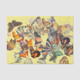 BUTTERFLES WEEFSELPAPIER IN GEEL TISSUEPAPIER