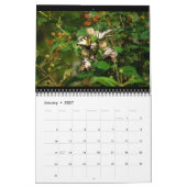 Butterflies 12 Month Calendar Kalender (Jan 2027)