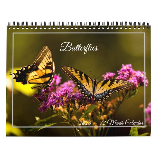 Butterflies 12 Month Calendar Kalender (Hoes)