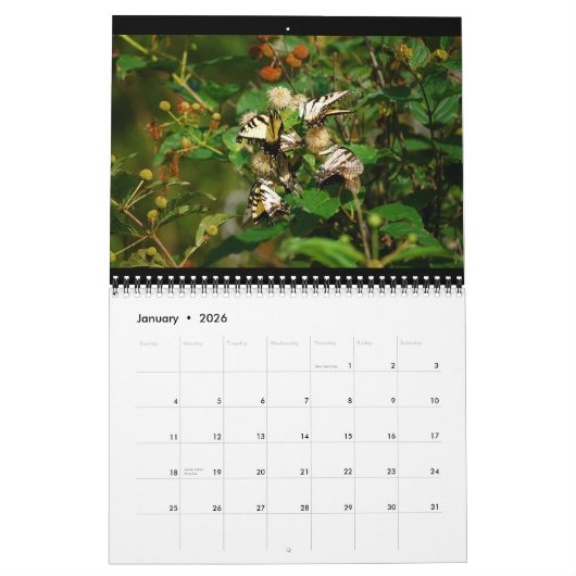 Butterflies 12 Month Calendar Kalender (Jan 2026)