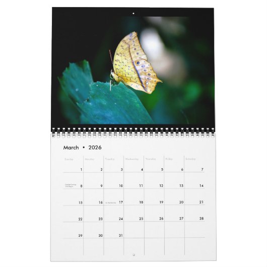 Butterflies 12 Month Calendar Kalender (Mar 2026)