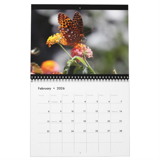 Butterflies 12 Month Calendar Kalender (Feb 2026)