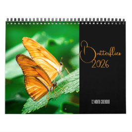 Butterflies  12 Month Wall Calendar 2026 Kalender