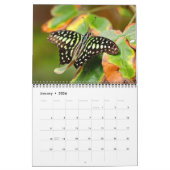 Butterflies  12 Month Wall Calendar 2026 Kalender (Jan 2026)