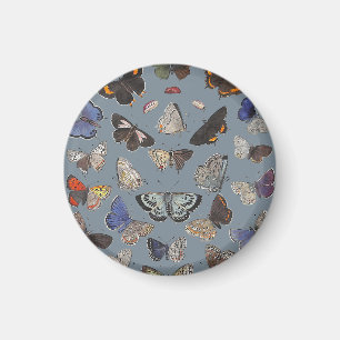 Butterflies, 1842 magneet