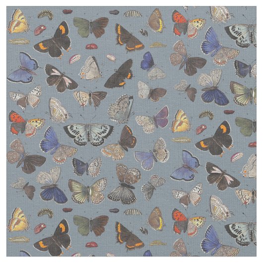 Butterflies, 1842 stof (Close Up)