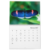 Butterflies [1] Wall Calendar Kalender (Feb 2027)