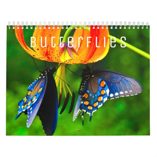 Butterflies [1] Wall Calendar Kalender (Hoes)