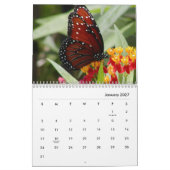 Butterflies [1] Wall Calendar Kalender (Jan 2027)