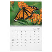 Butterflies [1] Wall Calendar Kalender (Mar 2027)