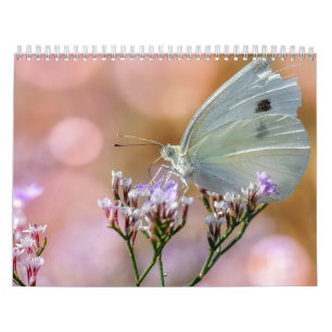 Butterflies 2017 kalender