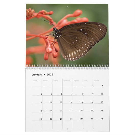 Butterflies 2017 kalender (Jan 2026)