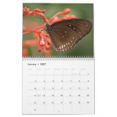 Butterflies 2017 kalender (Jan 2027)