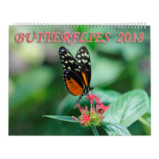 Butterflies 2018 kalender