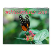 Butterflies 2018 kalender (Hoes)