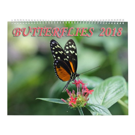 Butterflies 2018 kalender (Hoes)