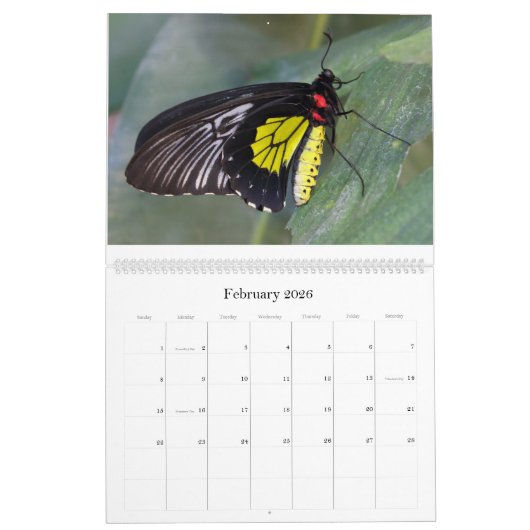 Butterflies 2018 kalender (Feb 2026)