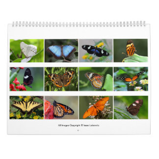 Butterflies 2019 kalender